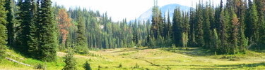 Meadows at McAlester Pass